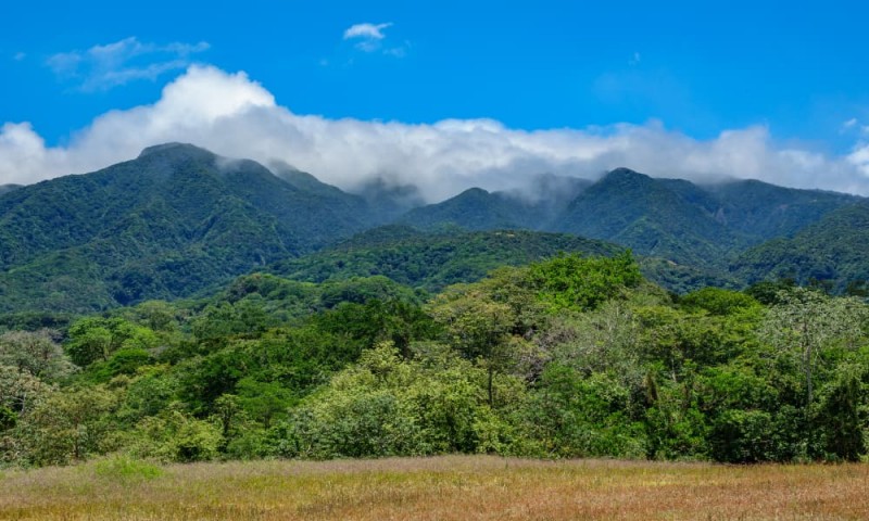 A Complete Guide to Visiting Liberia, Costa Rica  Pura Vida House