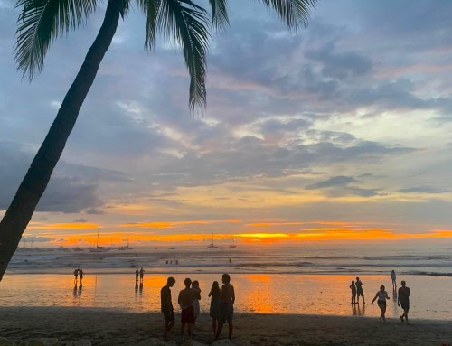 A Must-Do Guide for the Tamarindo Costa Rica Beaches Area